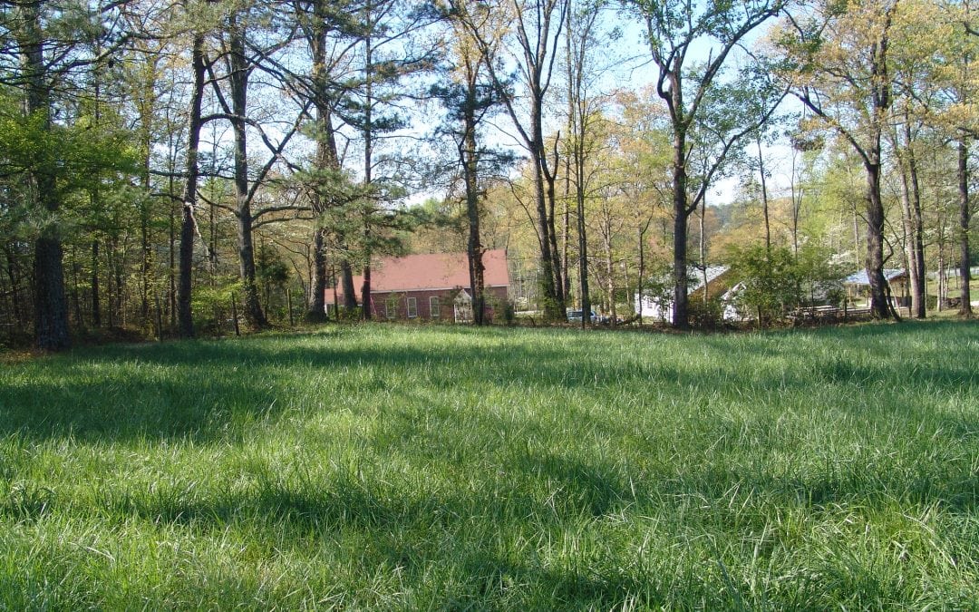 preplanning a green funeral