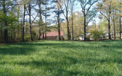 Preplanning a Green Funeral: A Cost-Effective Way to Protect Your Family & the Planet