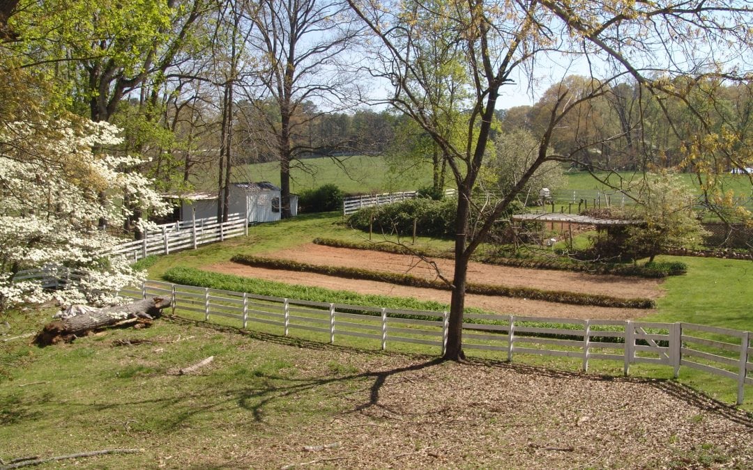 The History of Green Cemeteries