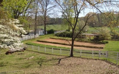 The History of Green Cemeteries