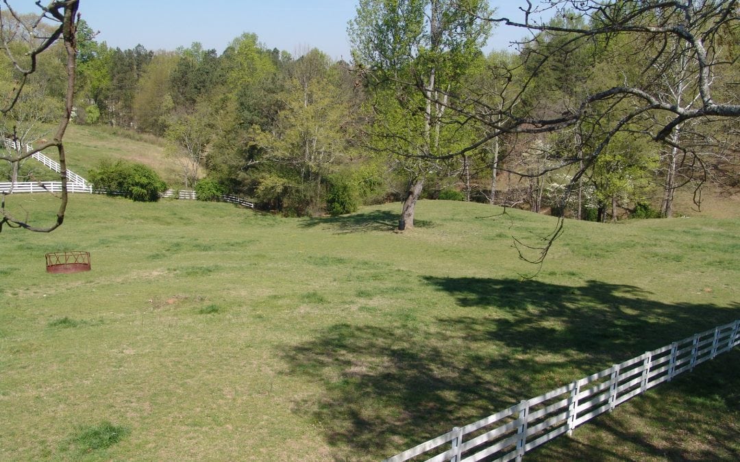 natural burial at Milton Fields