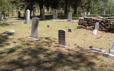 Embalming and the Environmental Impact of Burial Choices