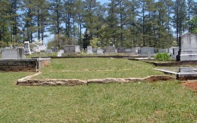 Comparing Environmentally Sustainable Funeral Options