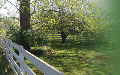 Common FAQs About Natural Burials