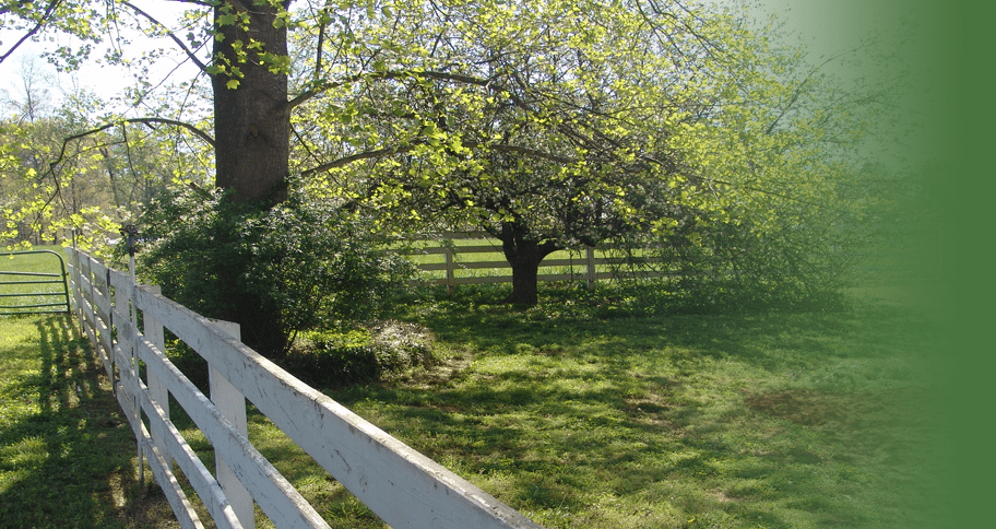 Common FAQs About Natural Burials