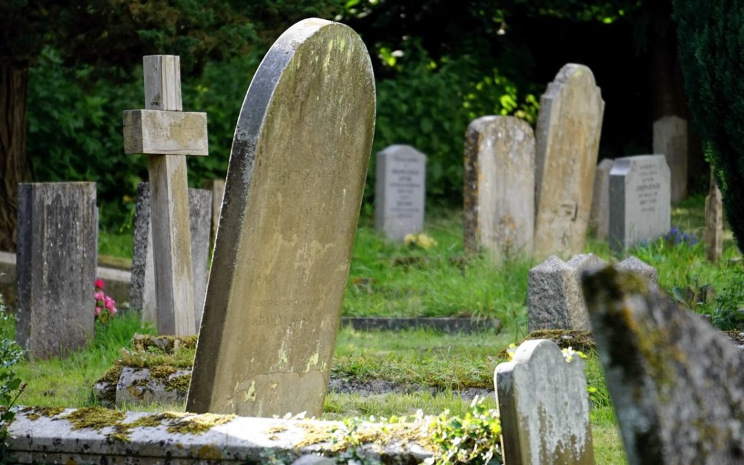 Why Conventional Burial Harms the Environment
