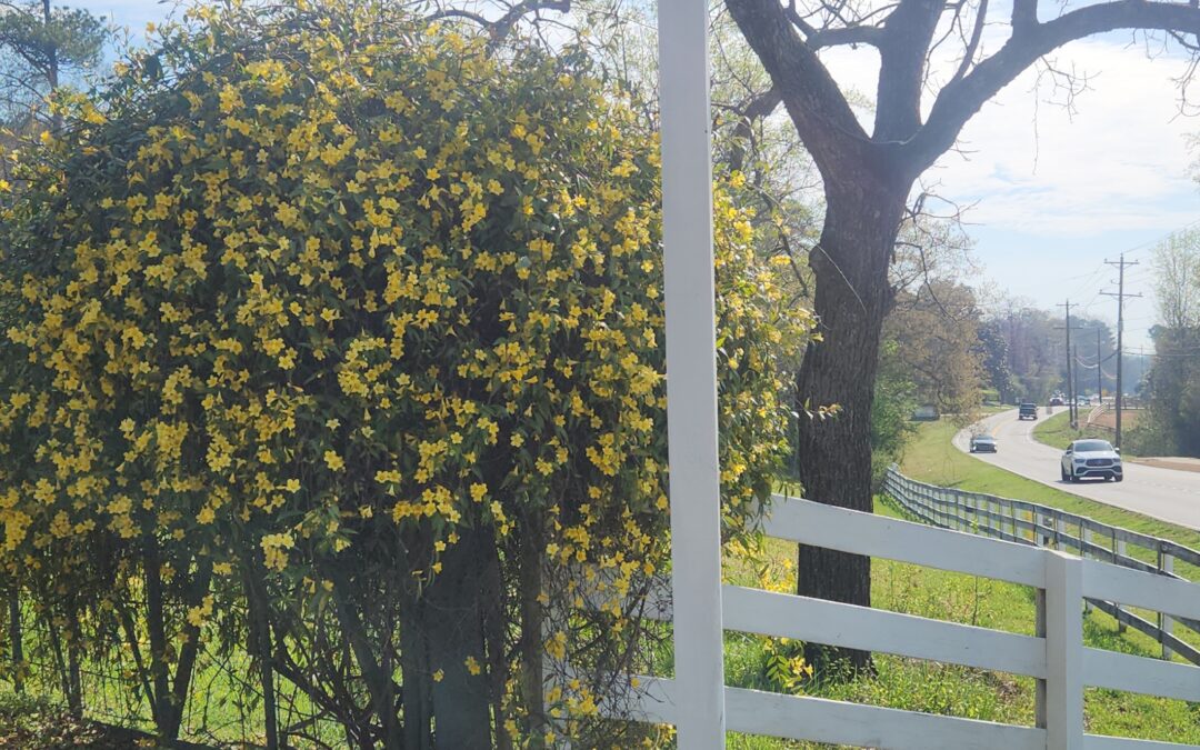 grief cycle, natural burial at Milton Fields
